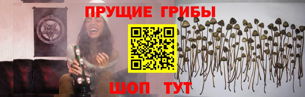 Нягань  Галлюциногенные грибы мицелий  Вход с VPN 
